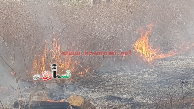 كفر قاسم -فيديو:اندلاع حريق في منتزة عبد الكريم قاسم وطواقم الاطفاء تسيطر على الحريق